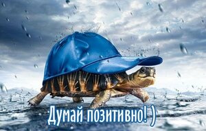 8f20e15de1a5b43abeb51d614ceea755.jpg