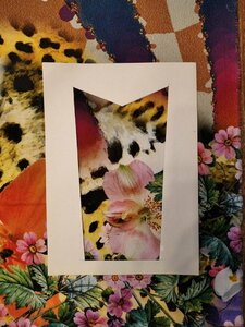 IMG_20210421_160032.thumb.jpg.47fb4456acbbdcc76b8d401f59b29bce.jpg