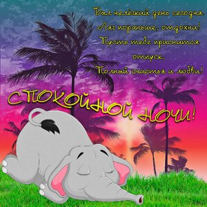 krasivye-otkrytki-kartinki-s-pozhelaniem-spokoynoy-dobroy-nochi-i-sladkih-snov-chast-3-aya-10.jpg