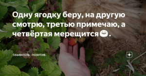 orig.thumb.png.f820fa6e883a70d863b975296da8ea17.png