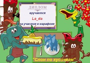 17.jpg