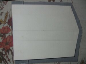 IMG_2915.jpg