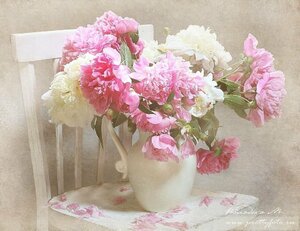 2ca23f3d6b325414a22c17f885bbe8b0.jpg