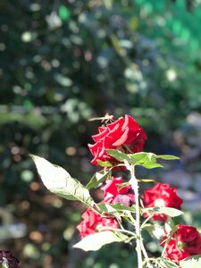 2EC651EA-1CF5-4CFF-9110-CB0796B9C81E.jpeg