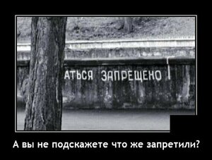 post-1622989478.jpg