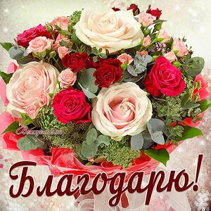 spasibo0068.thumb.jpg.9dcef9776aed0fb72f90b7f028ae4daa.jpg