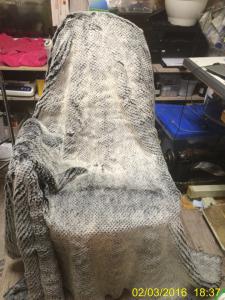 post-10182-1454508806_thumb.jpg