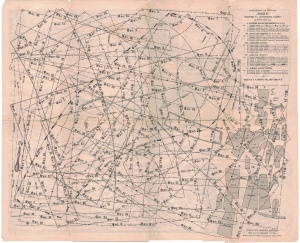 153819333.jpg