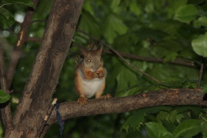 IMG_4984.JPG