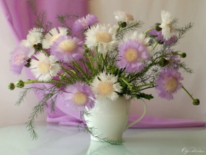flower_soft_white_pink_still_life_vase_fluffy_picture_wallpaper_free.jpg