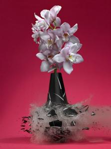 Exploding_vases_5_600x810.jpg