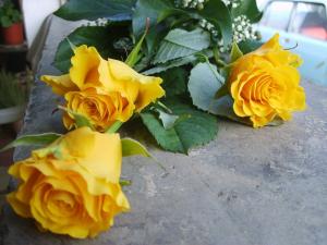 339d15057bd2.jpg