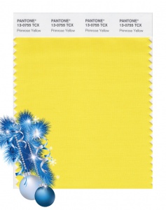 13_0755_primroseyellow.jpg