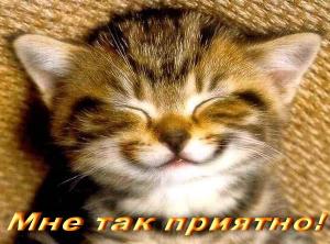 post-12837-1299959688_thumb.jpg