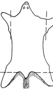 post-14028-1261728118_thumb.jpg