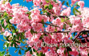 priroda_vesnoy_cvety_foto_02______.jpg