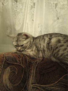 IMG_20191117_WA0003.jpg
