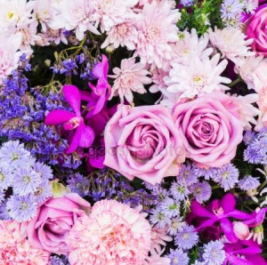 depositphotos_66145119_stock_photo_colorful_nature_flowers.jpg
