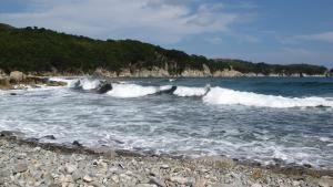 IMG_2884.JPG