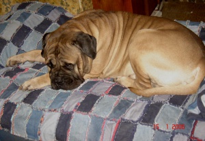 post-15620-1519025370_thumb.jpg