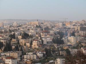 IMG_01_1.jpg