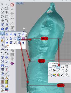 p74.jpg