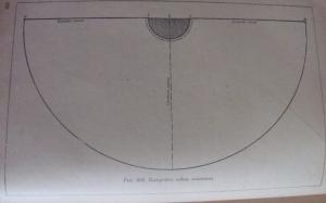 post-17045-1301958365_thumb.jpg
