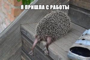 post-17842-1408880341_thumb.jpg