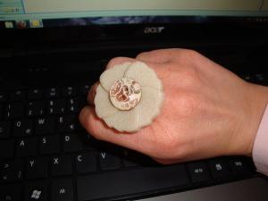 post-18414-1298811256_thumb.jpg