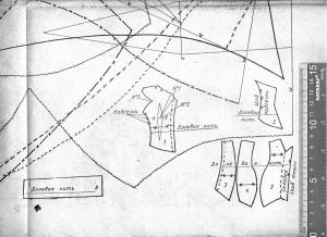 post-19162-1295179079_thumb.jpg