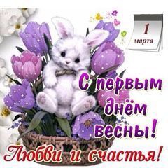 post-19167-1456817147_thumb.jpg