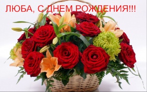 post-19973-1466442224_thumb.jpg