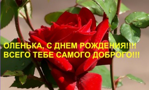 post-19973-1553102745_thumb.jpg
