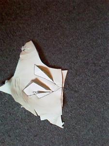 IMAG0087.jpg