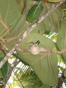 DSC03055.JPG