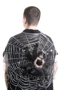 397855_w640_h640_knitwearspider.jpg
