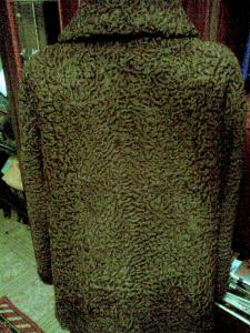 post-21320-1321158265_thumb.jpg