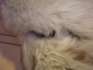 post-21503-1292240932_thumb.jpg