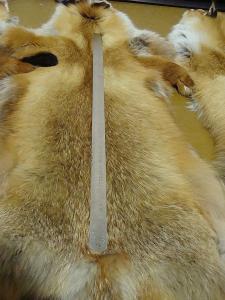 post-21566-1331668613_thumb.jpg