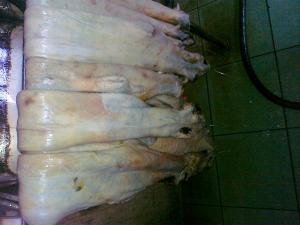 post-21795-1300900306_thumb.jpg