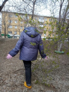 post-23156-1586172211_thumb.jpg