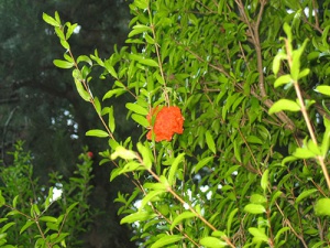 post-23156-1474309463_thumb.jpg