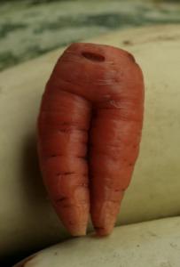 post-23571-1343648045_thumb.jpg