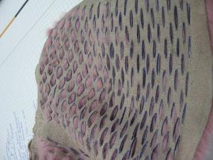 post-23782-1303324655_thumb.jpg