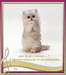 post-24204-1523209588_thumb.gif
