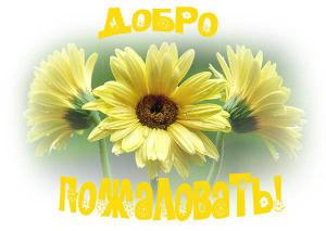 post-24314-1412661075_thumb.jpg