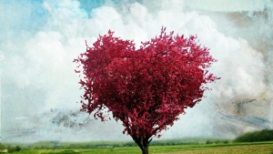 hearts_love_photo_manipulation_trees_1651208_1920x1080.jpg