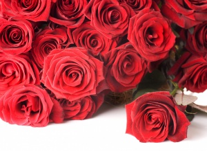 cvety_rozy_krasnye_buket_7638.jpg