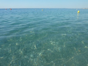 post-26661-1498556517_thumb.jpg