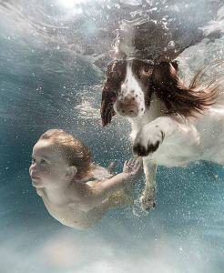 05_03_2009_0404463001236282247_zena_holloway.jpg